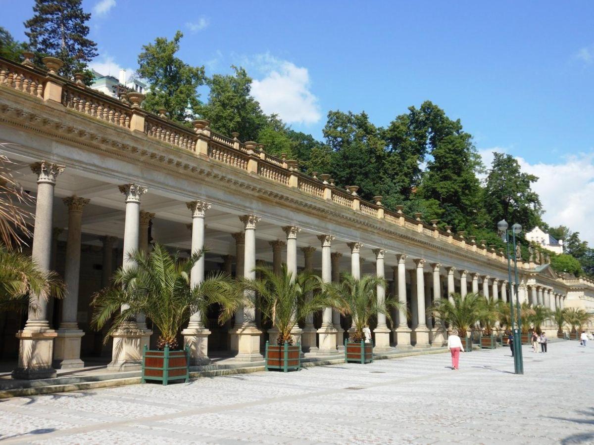 Apartman Rezidence Moser-Free Parking Garage Karlovy Vary Luaran gambar
