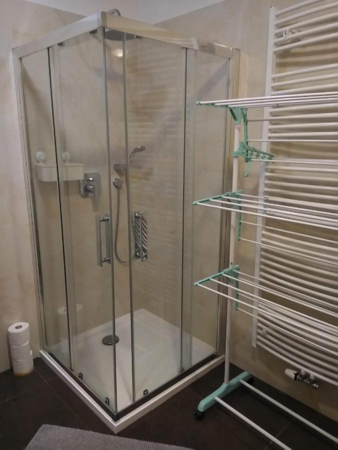 Apartman Rezidence Moser-Free Parking Garage Karlovy Vary Luaran gambar
